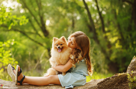 Our Pets Bless Our Families – How Can We Bless Our Pets?