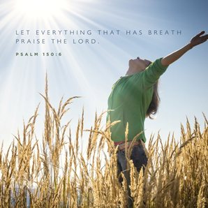 Let everything that has breath praise the lord Psalm 150:6,Women of Faith Daily Devotional by Patsy Clairmont 9780310240693