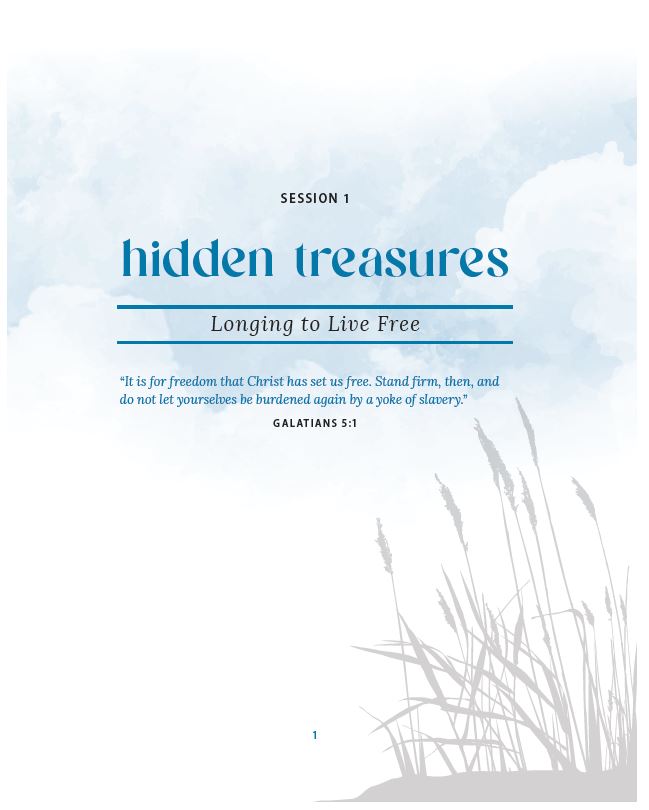 Hidden Bible Study Guide plus Streaming Video: Finding Delight in Your Life with Christ