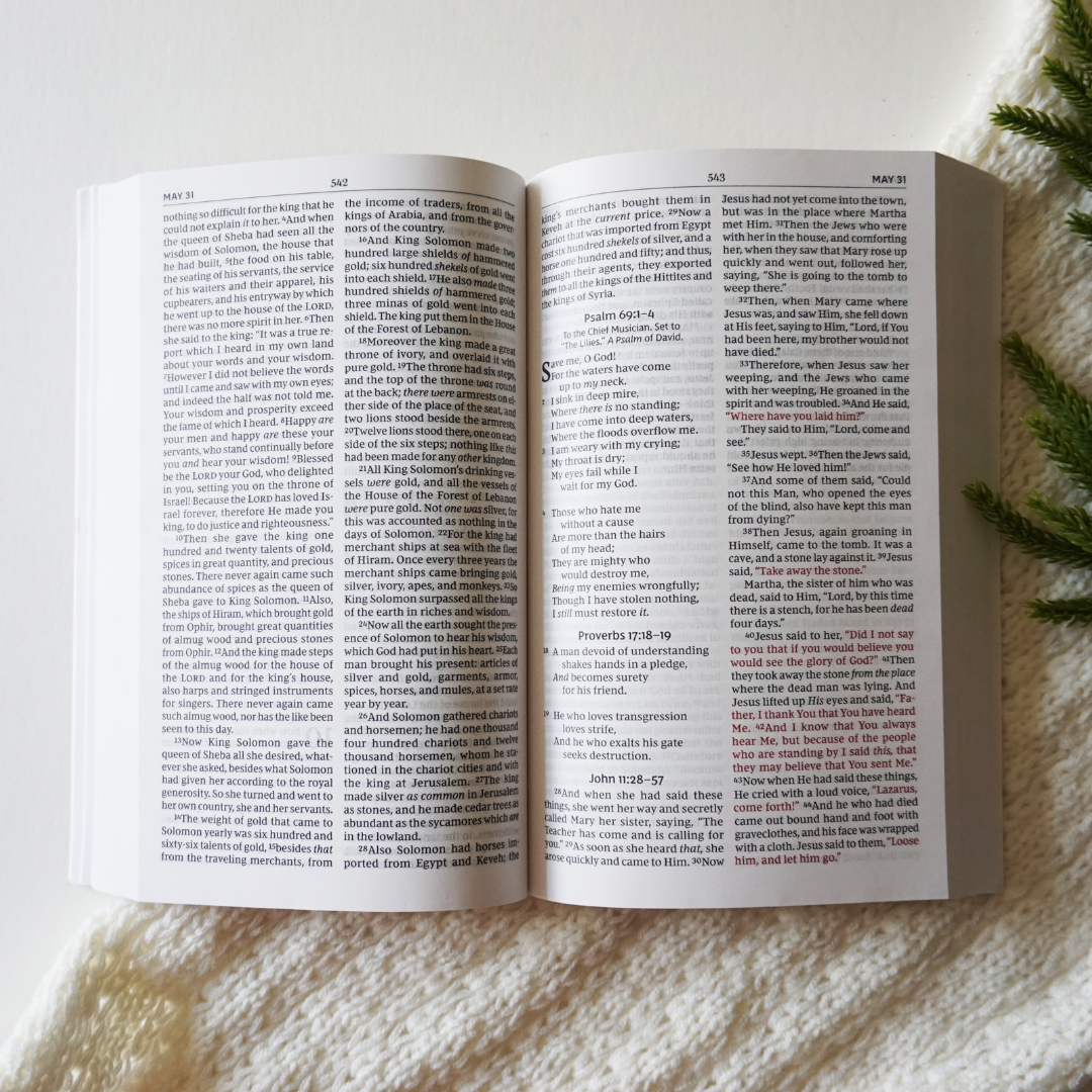 The Case for Christmas Bible Study Guide + Book + Journal + Bible Premium Bundle