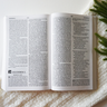 The Case for Christmas Bible Study Guide + Book + Journal + Bible Premium Bundle