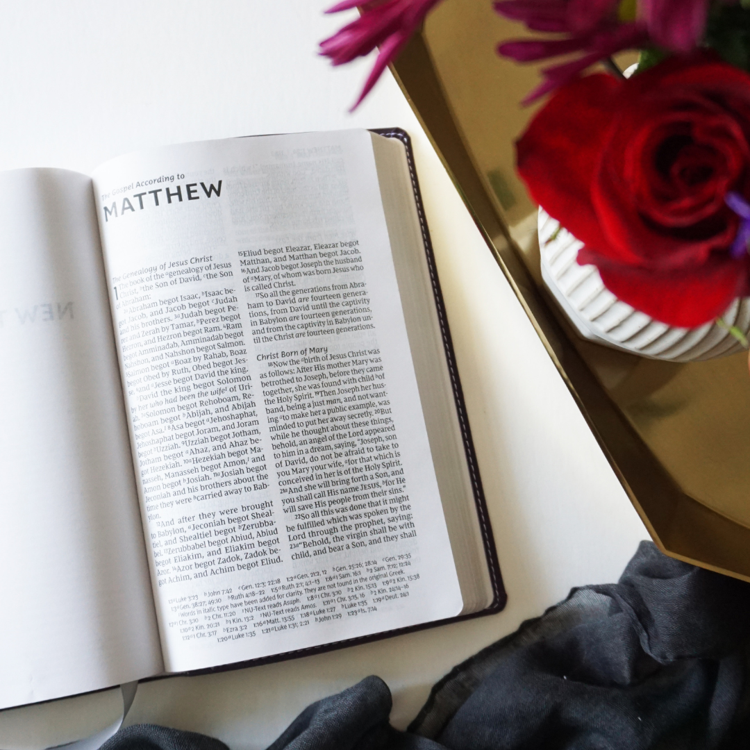 The God You Need to Know Study Guide + Book + Bible Premium Bundle