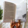 The Case for Christmas Bible Study Guide + Book + Journal + Bible Premium Bundle
