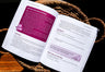 12 Daring Women of the Bible Study Guide + Devotional Bundle
