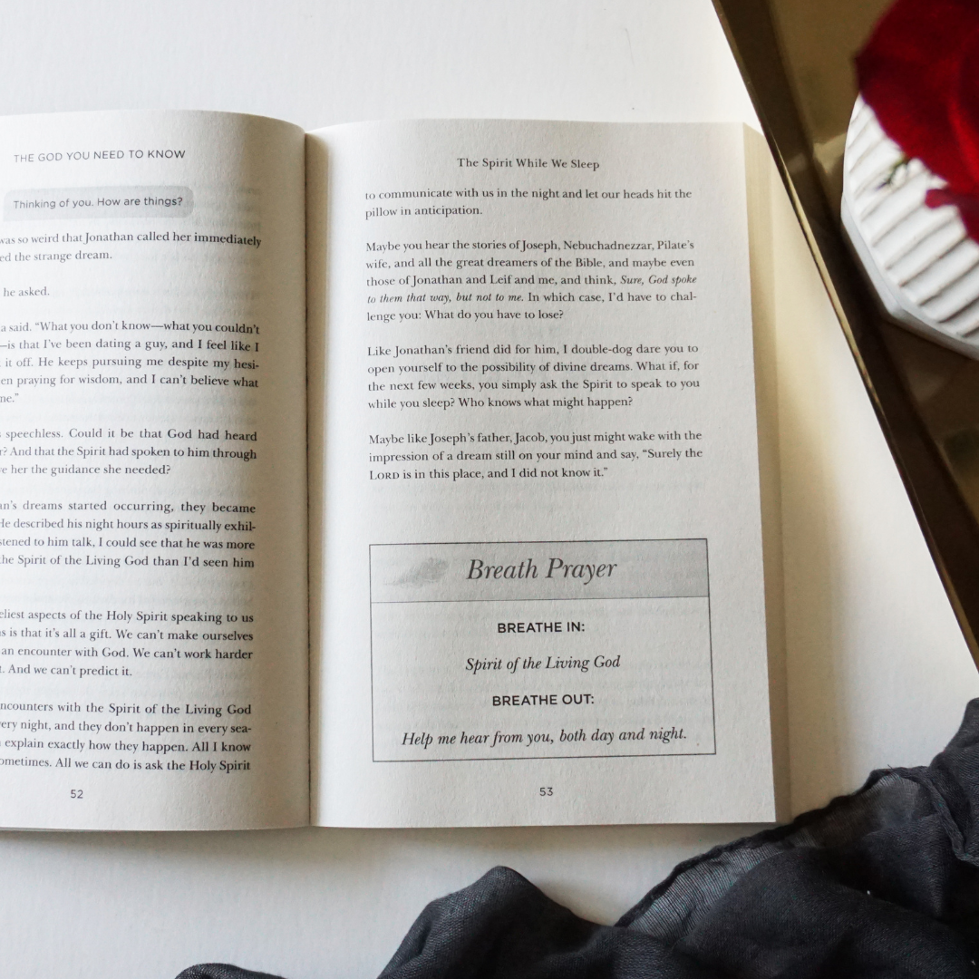 The God You Need to Know Study Guide + Book + Bible Premium Bundle