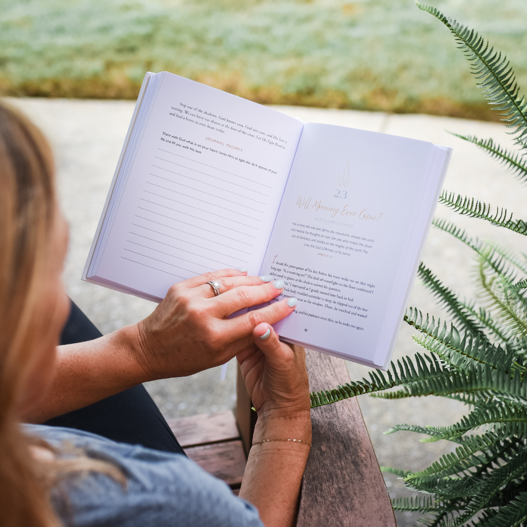 Let In the Light: 50 Devotions to Confidently Know God Is Good and Guiding Your Steps – A Daily Devotional for Advent and Christmas