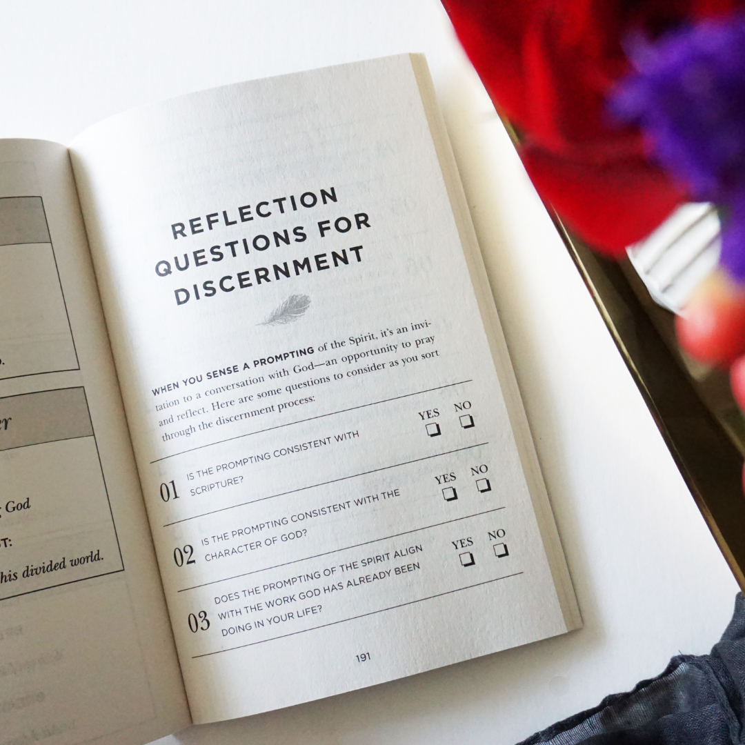 The God You Need to Know Study Guide + Book + Bible Premium Bundle