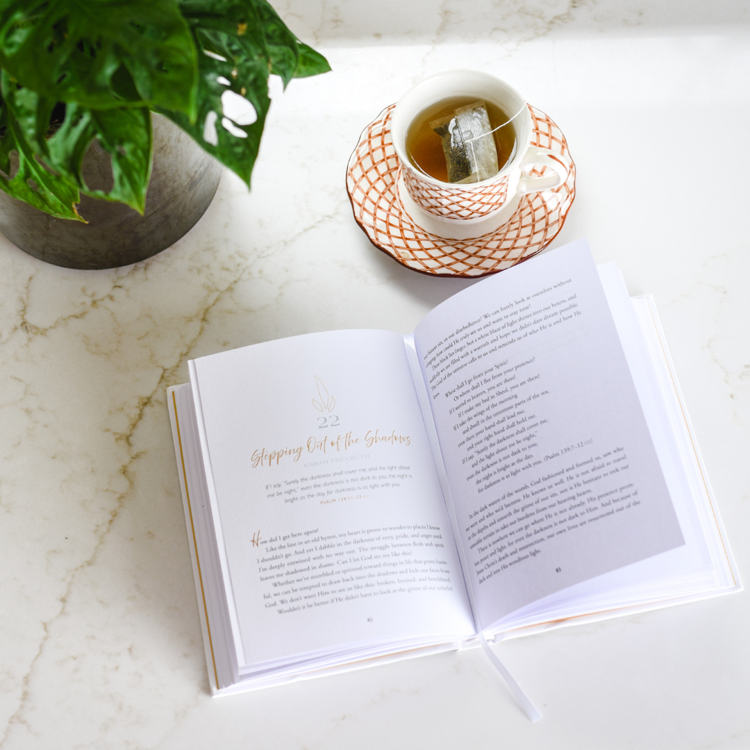 Let In the Light: 50 Devotions to Confidently Know God Is Good and Guiding Your Steps – A Daily Devotional for Advent and Christmas