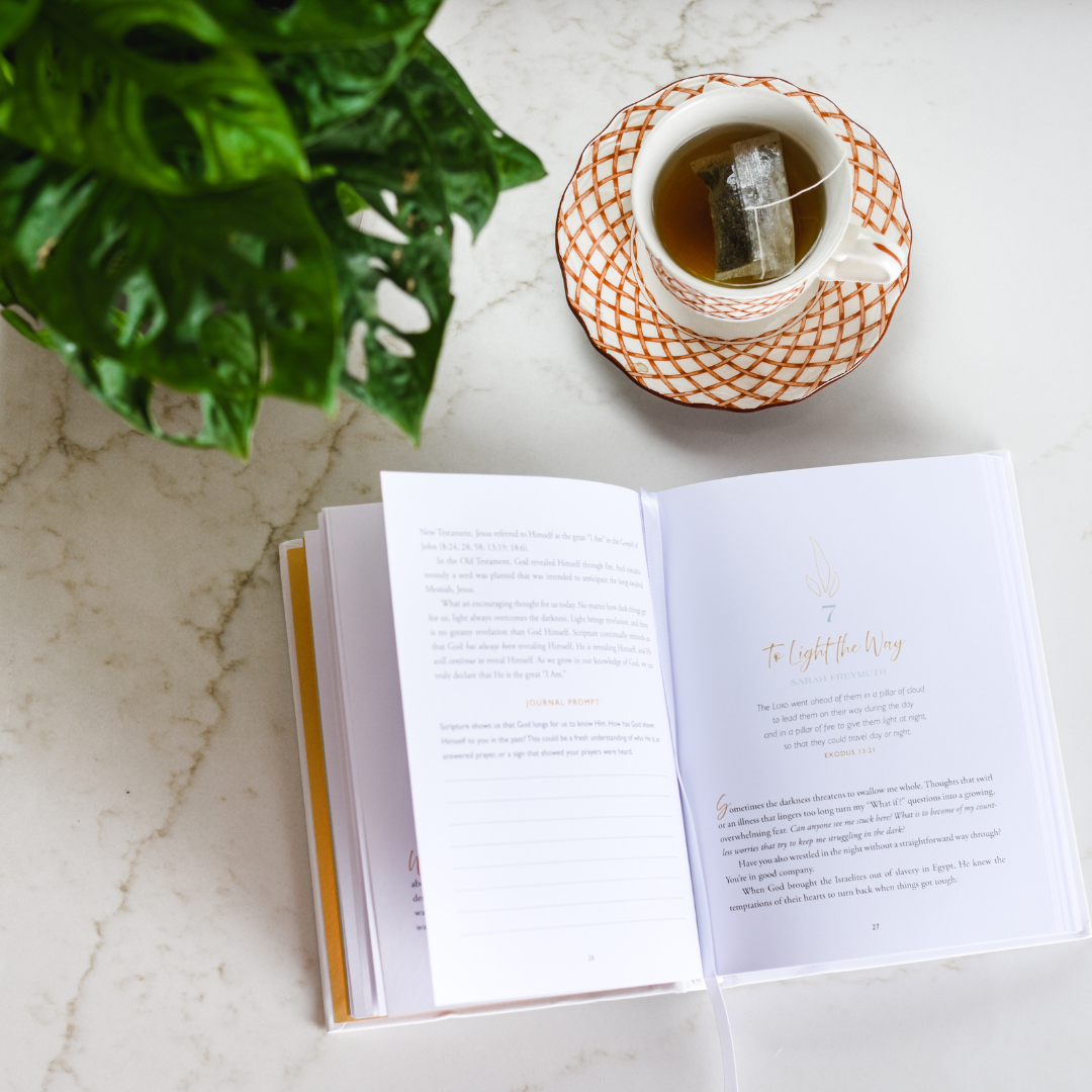 Let In the Light: 50 Devotions to Confidently Know God Is Good and Guiding Your Steps – A Daily Devotional for Advent and Christmas