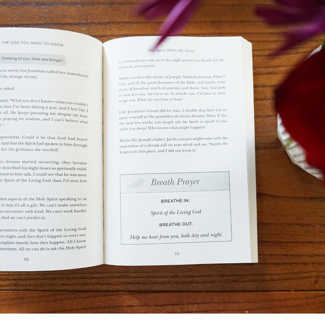 The God You Need to Know Study Guide + Book + Bible Premium Bundle