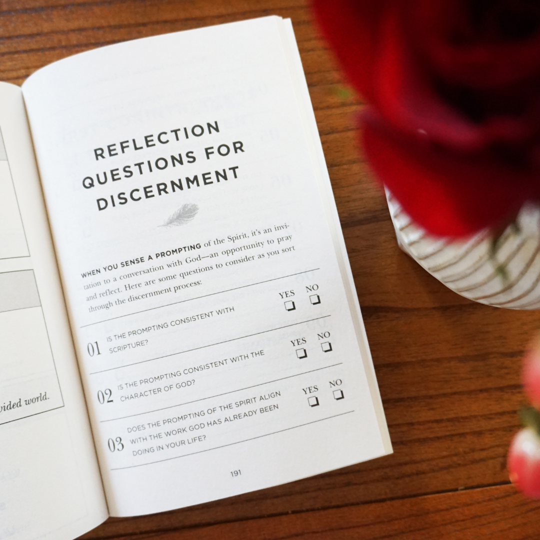 The God You Need to Know Study Guide + Book + Bible Premium Bundle