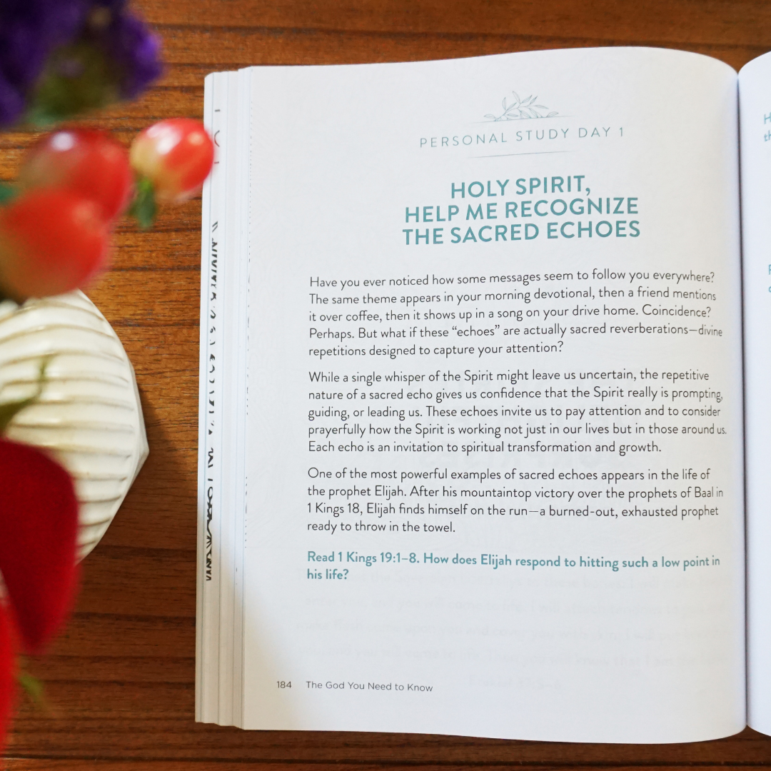 The God You Need to Know Study Guide plus Streaming Video: 12 Practices to Awaken Your Relationship with the Holy Spirit