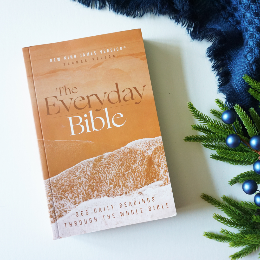 The Case for Christmas Bible Study Guide + Book + Journal + Bible Premium Bundle