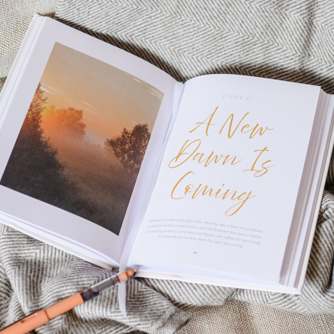 Let In the Light: 50 Devotions to Confidently Know God Is Good and Guiding Your Steps – A Daily Devotional for Advent and Christmas