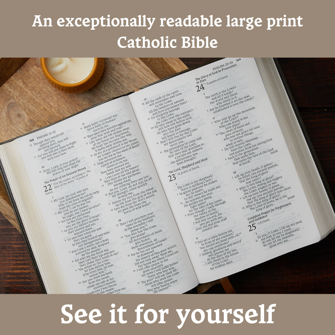 NABRE, New American Bible, Revised Edition, Catholic Bible, Large Print Edition, Comfort Print: Holy Bible