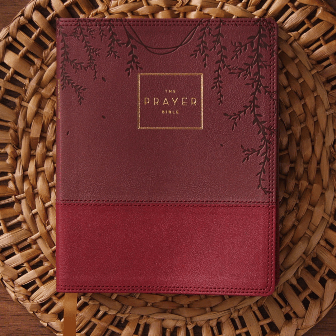 Save today! Save today!