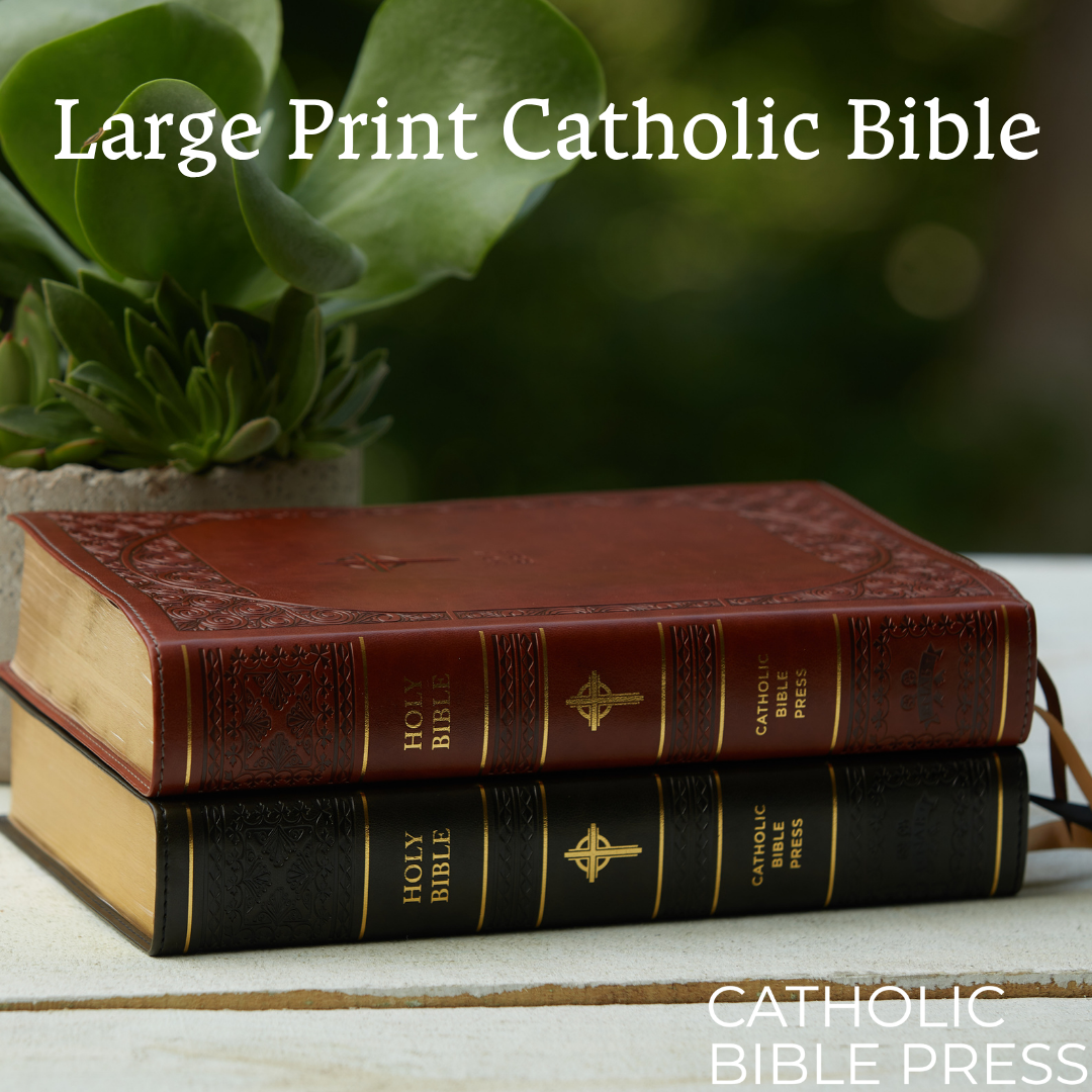 NABRE, New American Bible, Revised Edition, Catholic Bible, Large Print Edition, Comfort Print: Holy Bible