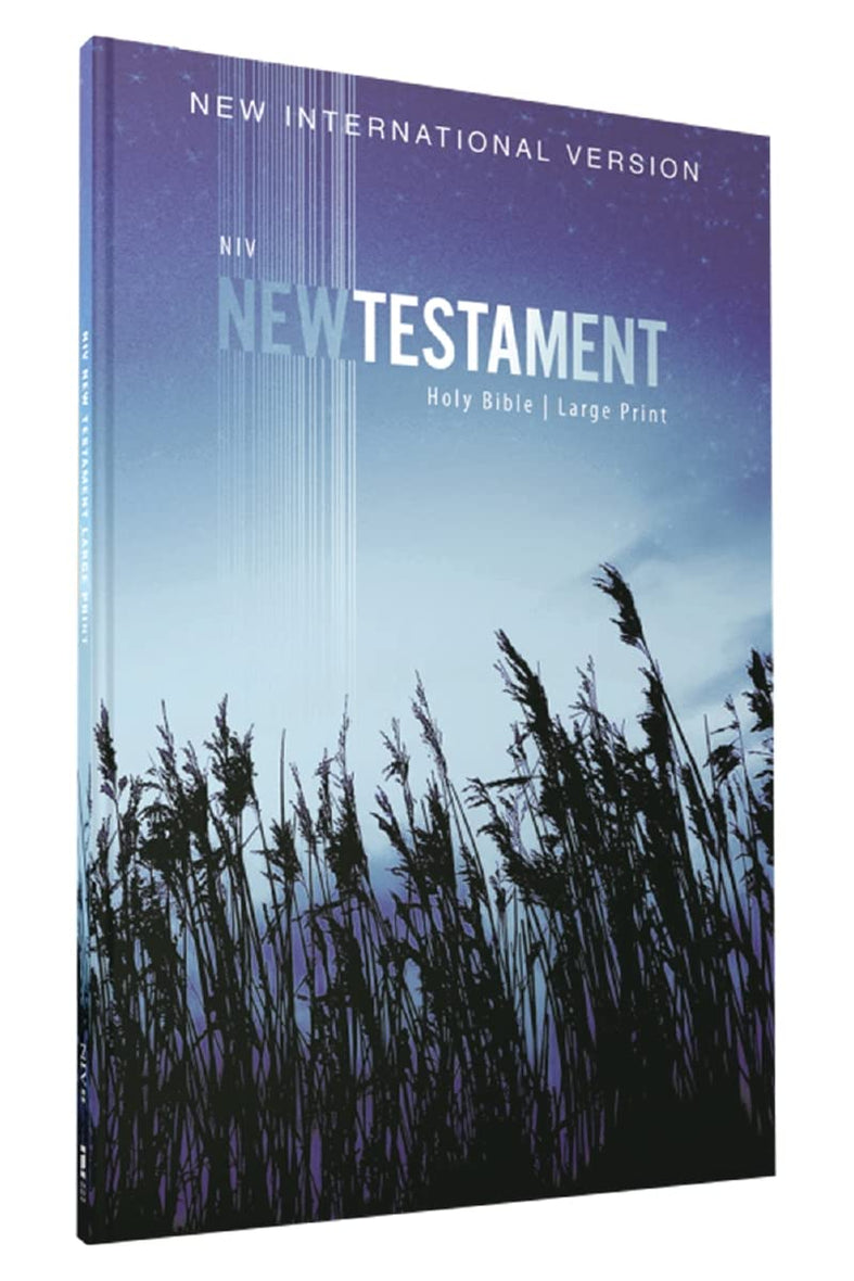 NIV, Outreach New Testament, Large Print, Paperback, Case of 50