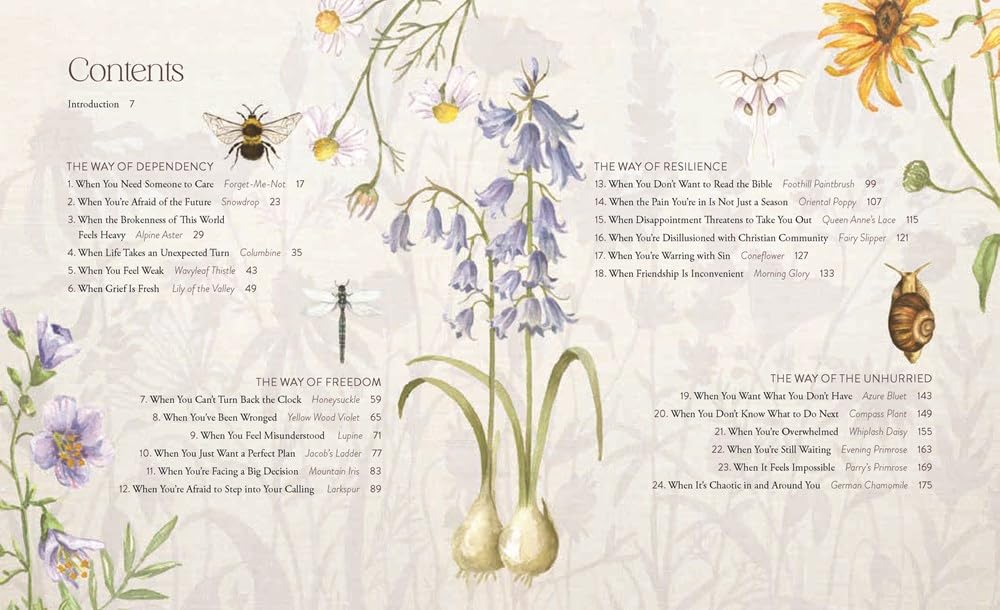 The Way of the Wildflower: Gospel Meditations to Unburden Your Anxious Soul – The Perfect Christian Devotional Christmas Gift for Women
