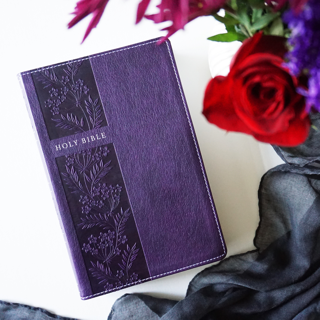 The God You Need to Know Study Guide + Book + Bible Premium Bundle