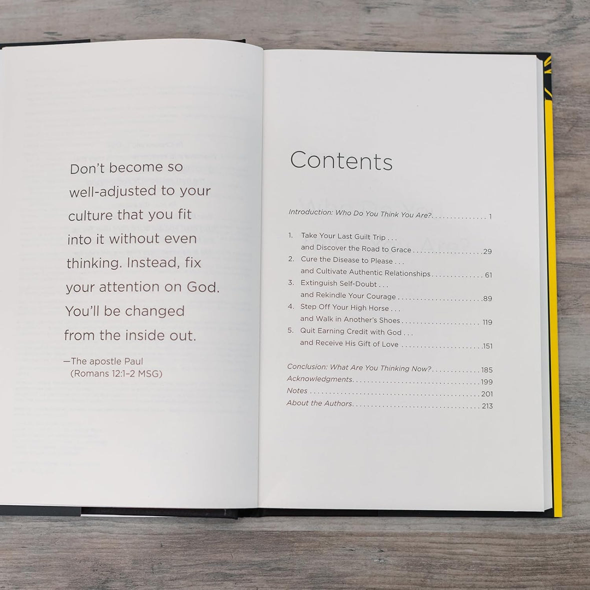 Bad Thoughts: A Preacher and a Shrink's Guide to Reclaiming Your Mind and Soul