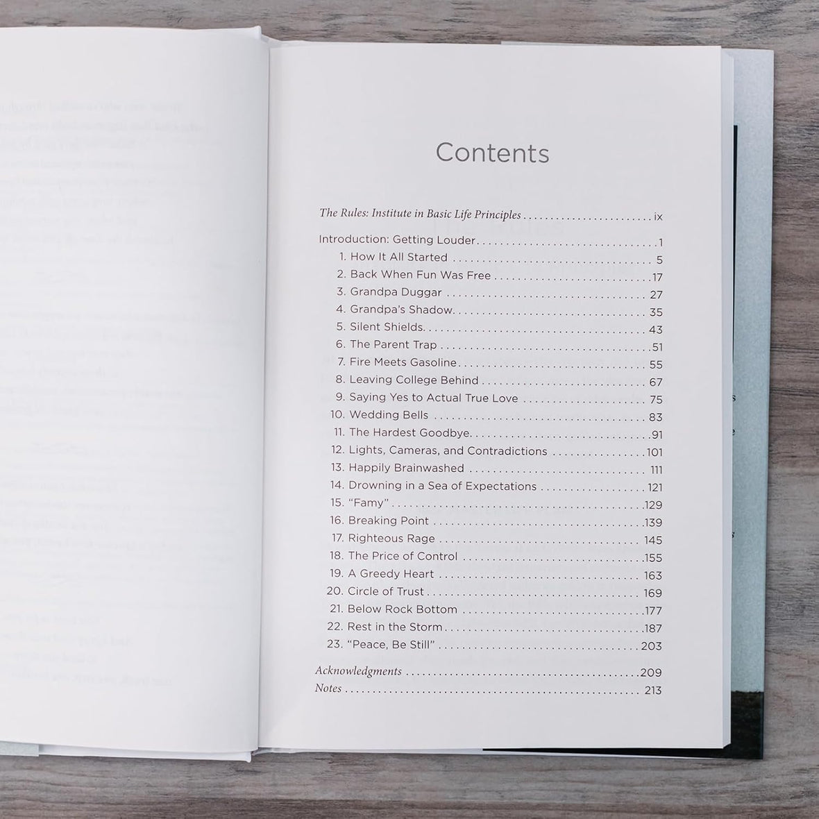 Holy Disruptor: Shattering the Shiny Facade by Getting Louder with the Truth