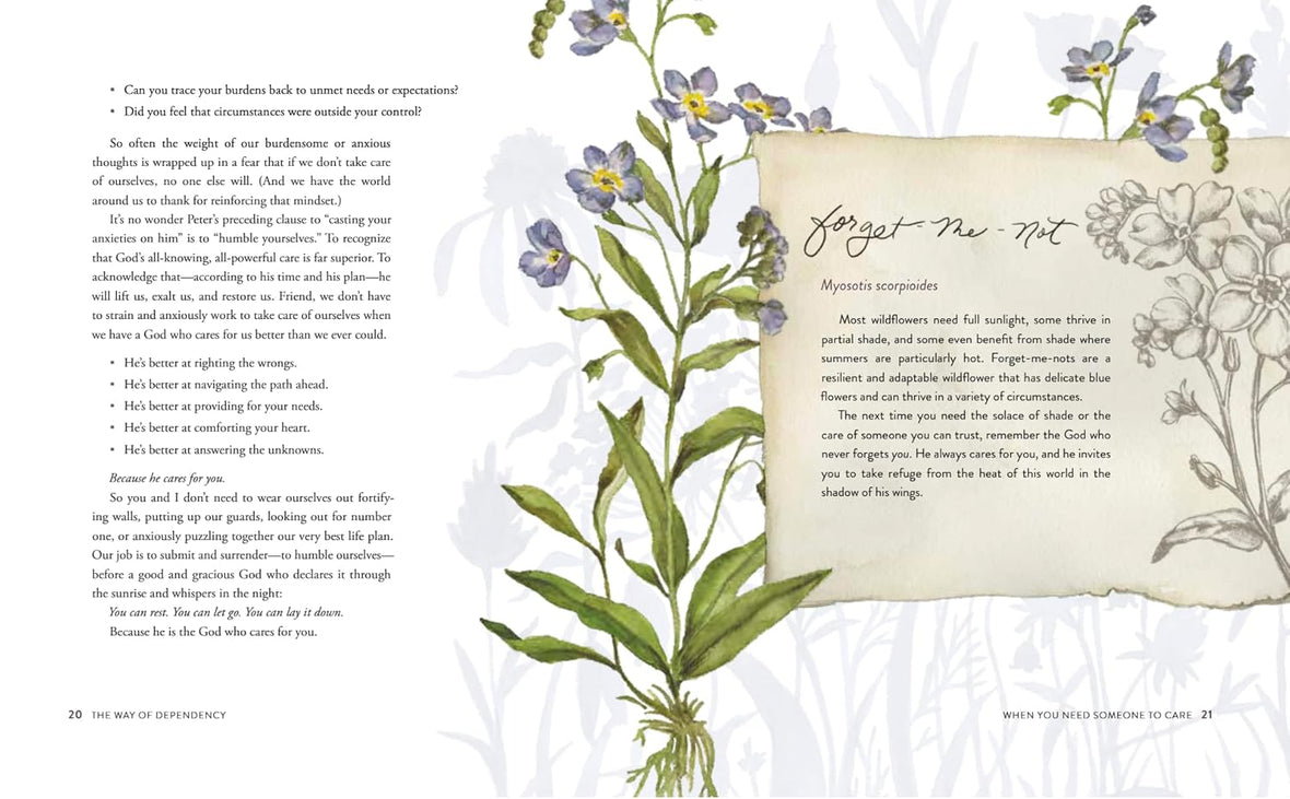 The Way of the Wildflower: Gospel Meditations to Unburden Your Anxious Soul – The Perfect Christian Devotional Christmas Gift for Women