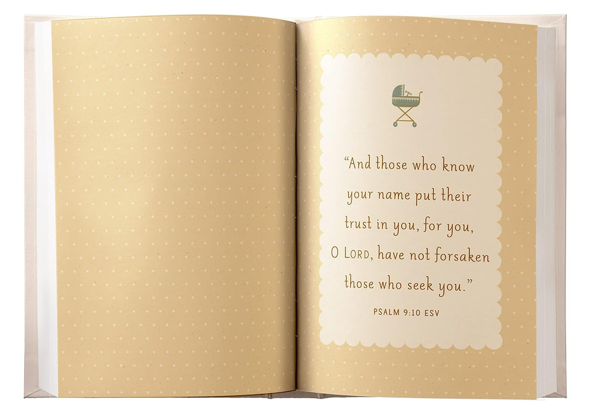 Miracle in the Making: The Devotional for Expectant Moms