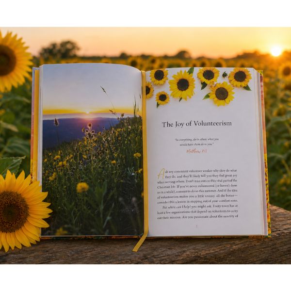 Devotions for the Summer 3-Pack Bundle