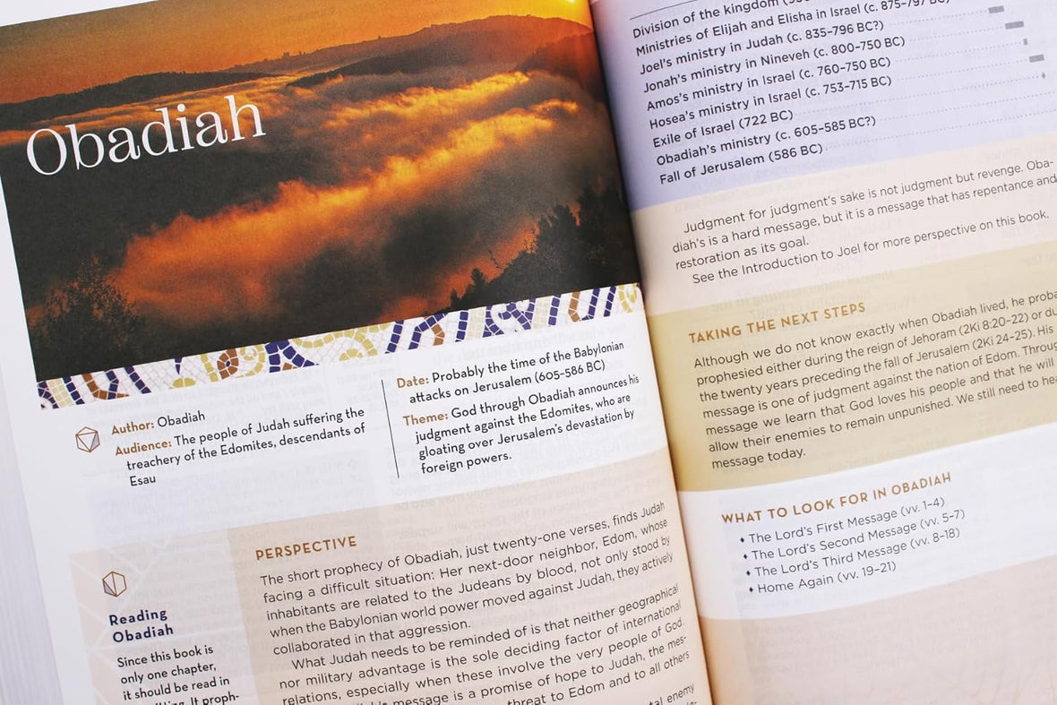 A Jesus Shaped Life Study Guide + Prayer Journal + Bible Premium Bundle