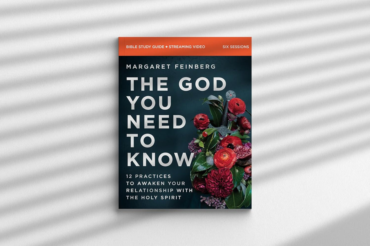 The God You Need to Know Study Guide + Book + Bible Premium Bundle