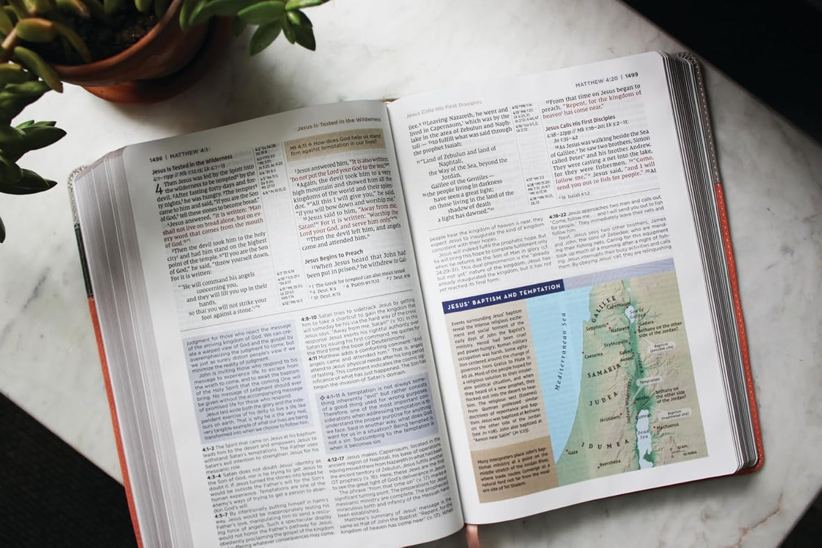 NIV Application Bible, Red Letter, Comfort Print: Bringing the Ancient Message of the Bible into Your World