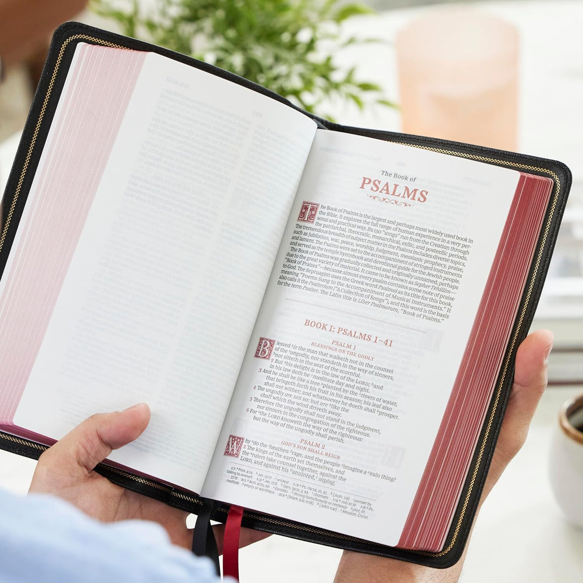 KJV, Sovereign Collection Bible, Personal Size, Red Letter Edition, Comfort Print