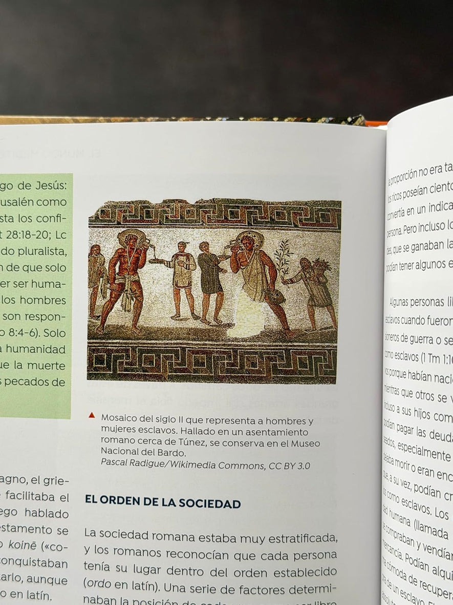 CLIE Nuevo Testamento en la Antigüedad: Un estudio del Nuevo Testamento en su contexto cultural
