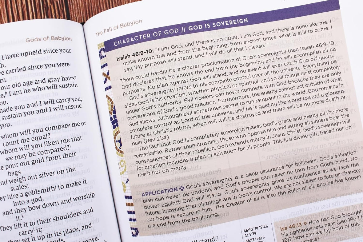 The Promise and Power of Easter Study Guide + Devotional + Bible (Premium Bundle)