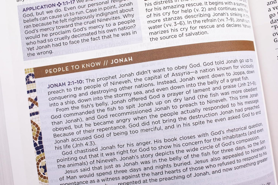 NIV Application Bible, Red Letter, Comfort Print: Bringing the Ancient Message of the Bible into Your World