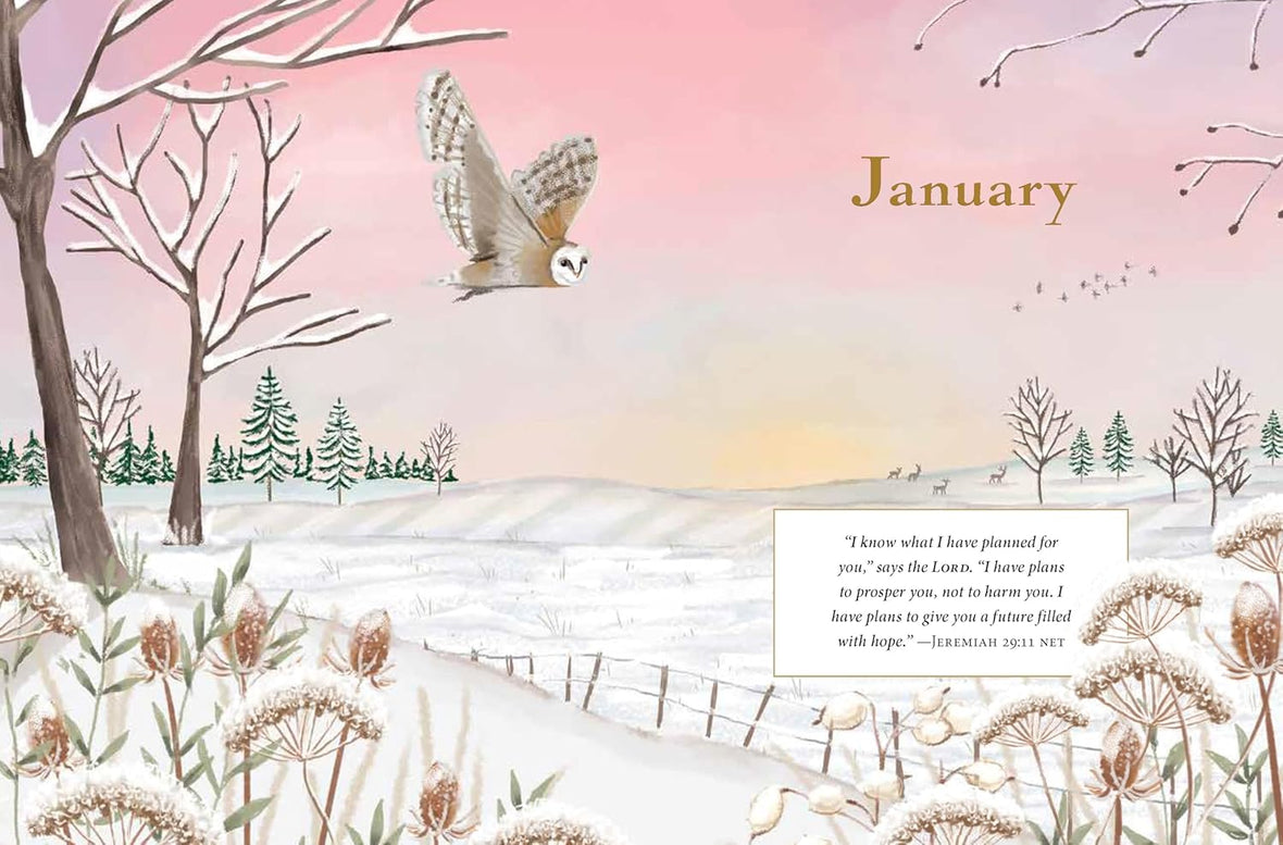 Jesus Listens: Prayers for Every Season (NEW for 2025): A 365-Day Illustrated Devotional Prayer Book – The Perfect Christian Christmas Gift