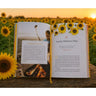 Devotions for the Summer