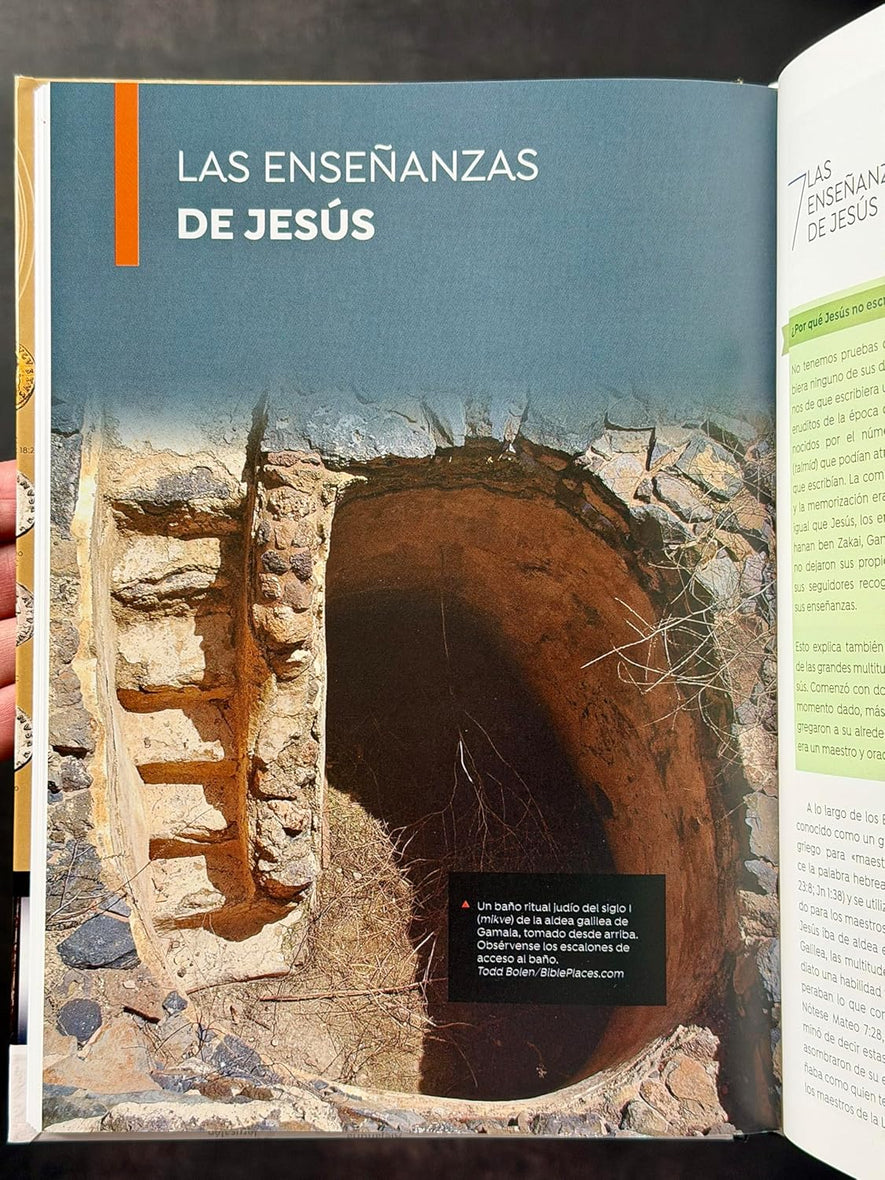 CLIE Nuevo Testamento en la Antigüedad: Un estudio del Nuevo Testamento en su contexto cultural