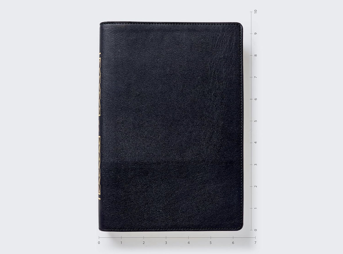 NBLA, Biblia para la lectura pública, Versificada, Letra gigante, Piel de cabra: Para quienes se deleitan en compartir Su Palabra