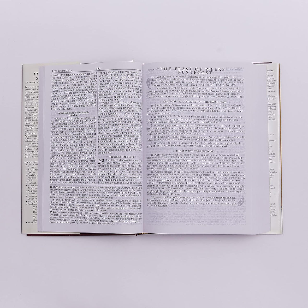 Orthodox Study Bible: Ancient Christianity Speaks to Today's World