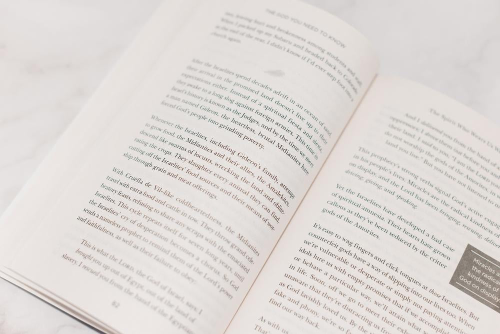 The God You Need to Know Study Guide + Book + Bible Premium Bundle