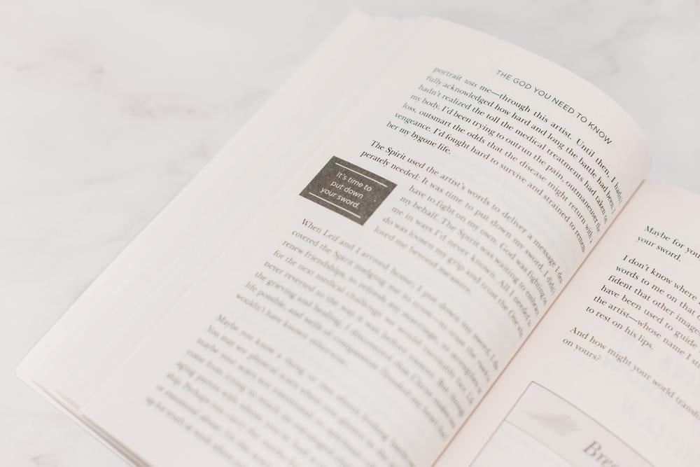 The God You Need to Know Study Guide + Book + Bible Premium Bundle