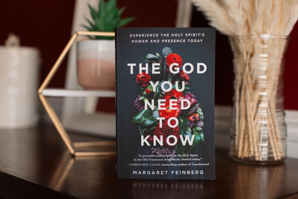 The God You Need to Know Study Guide + Book + Bible Premium Bundle