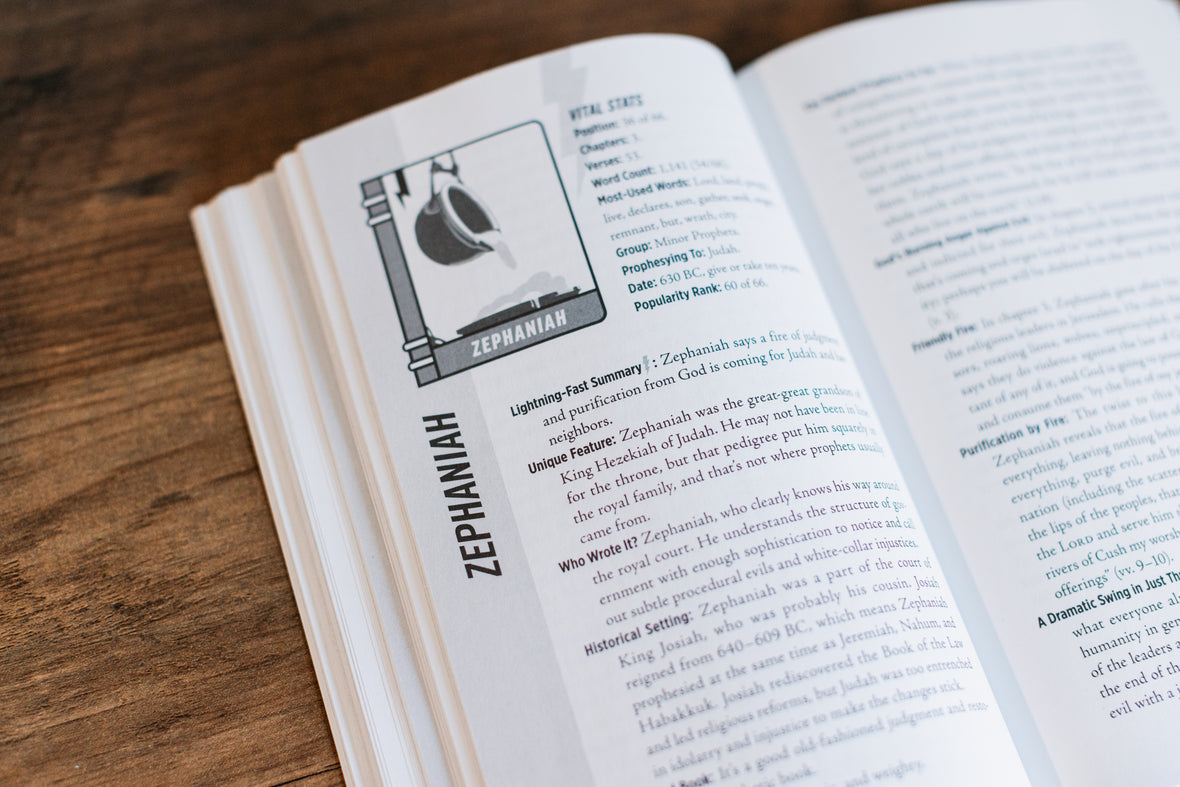 The Lightning-Fast Field Guide to the Bible: Your Compact Companion for Exploring the Best Book Ever