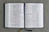 NASB, Thompson Chain-Reference Bible, 1995 Text, Red Letter, Comfort Print
