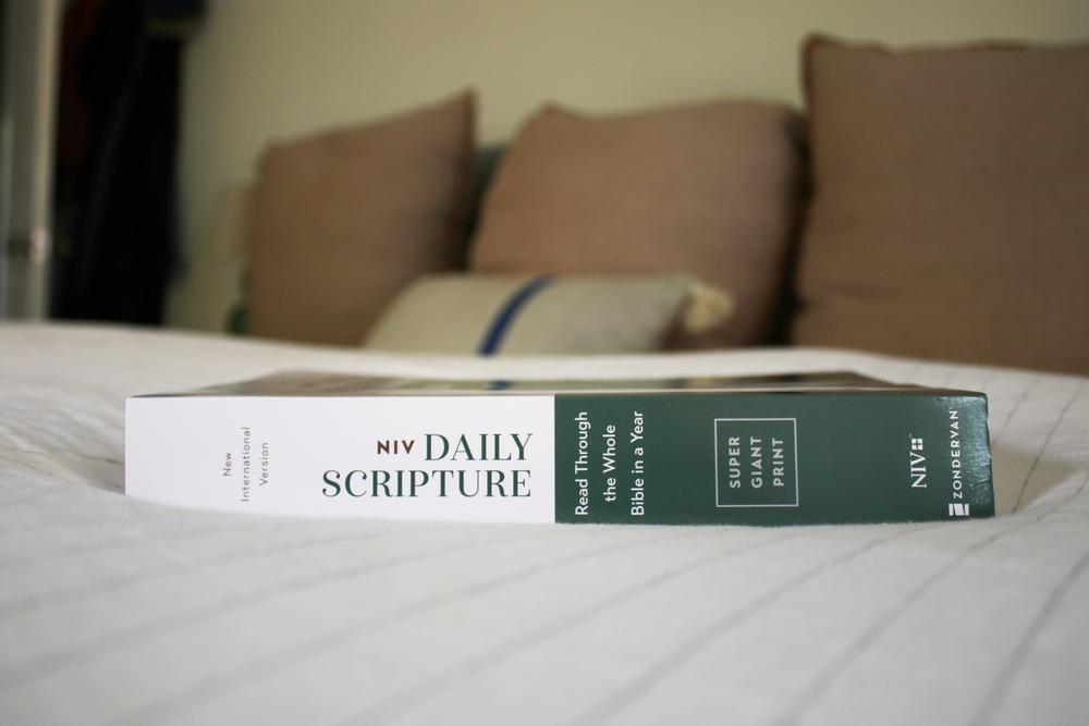 NIV, Daily Scripture, Super Giant Print, Paperback, White/Green, Comfort Print: 365 Days to Read Through the Whole Bible in a Year