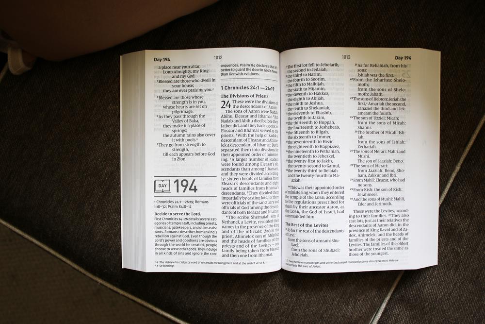 NIV, Daily Scripture, Super Giant Print, Paperback, White/Green, Comfort Print: 365 Days to Read Through the Whole Bible in a Year