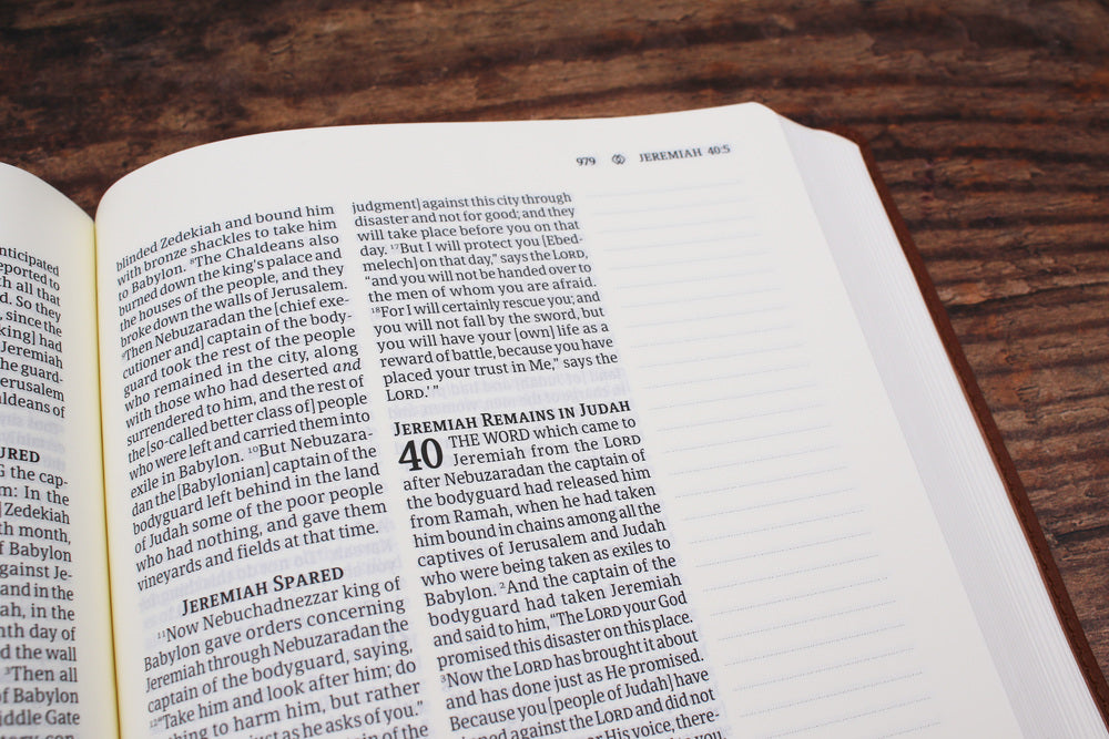 Amplified Journal the Word Bible, Leathersoft, Brown: Reflect