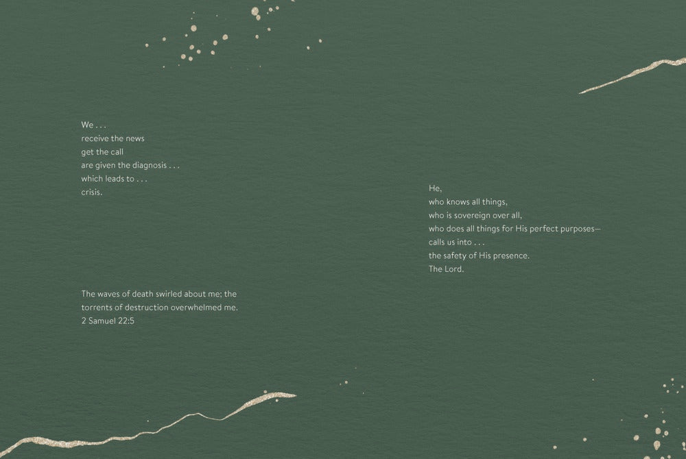 A closer look A closer look